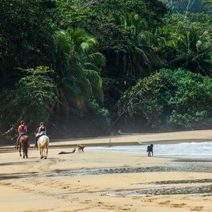 Punta Uva   Costa rica