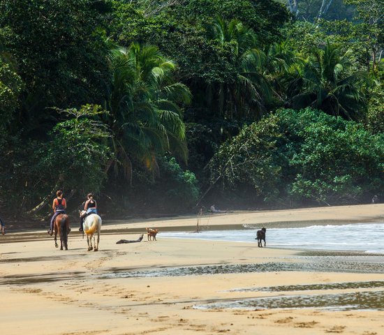 Punta Uva   Costa rica