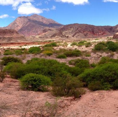 quebrada de cafayate