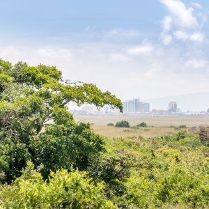 réserve nationale de Nairobi