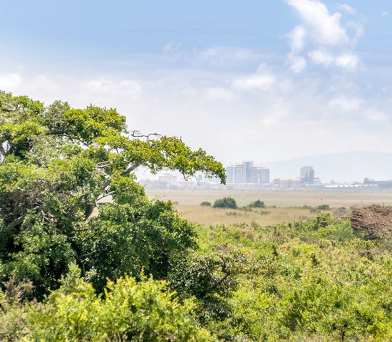 réserve nationale de Nairobi