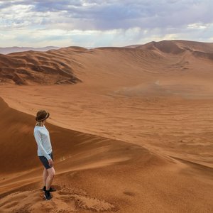 Randonnée dans le parc du Namib   Namibie