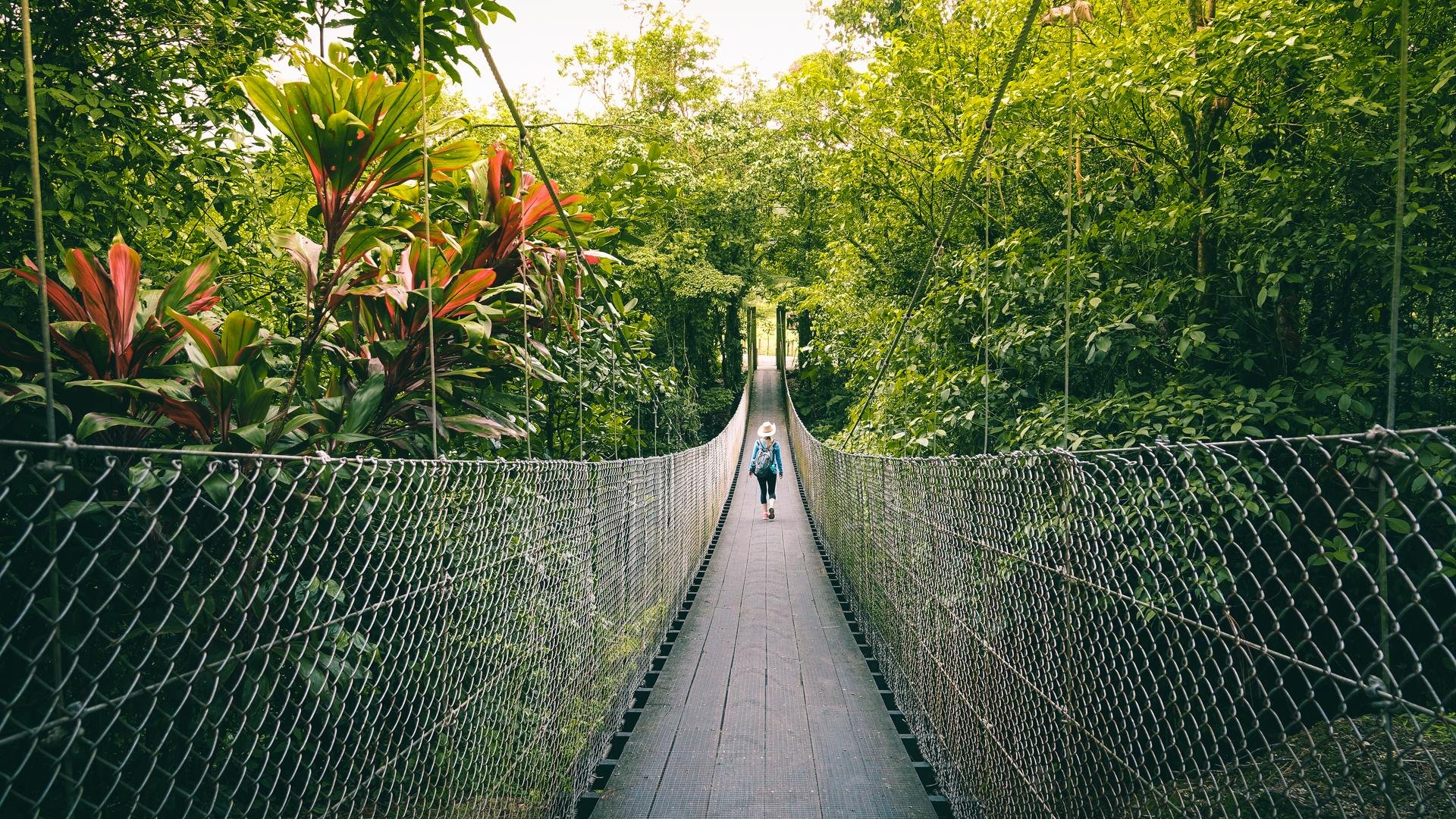 Randonnée pédestre au Costa Rica