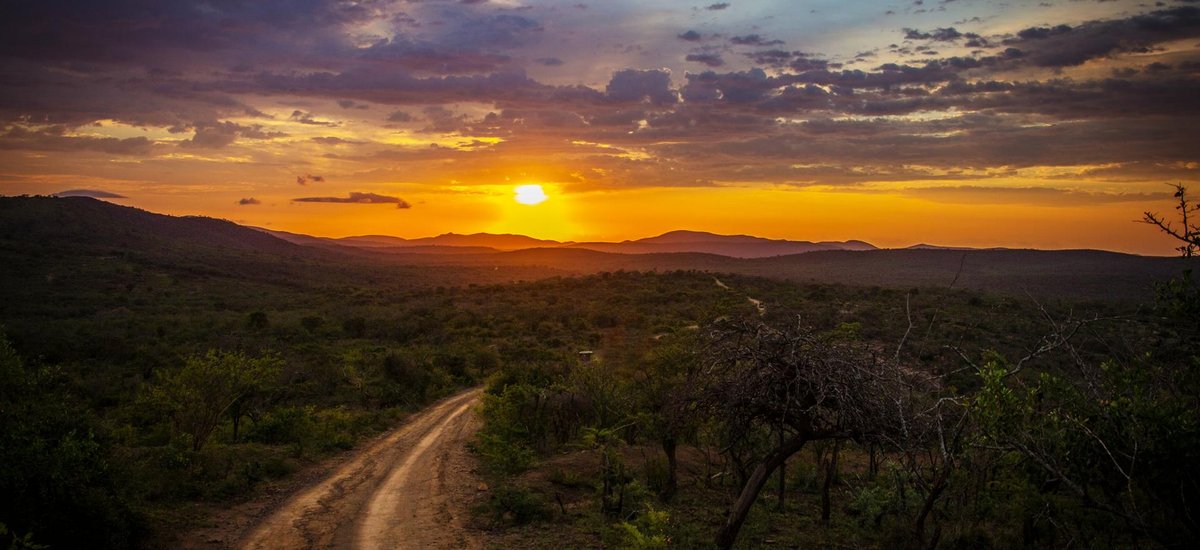 Reserve Hluhluwe Afrique du Sud