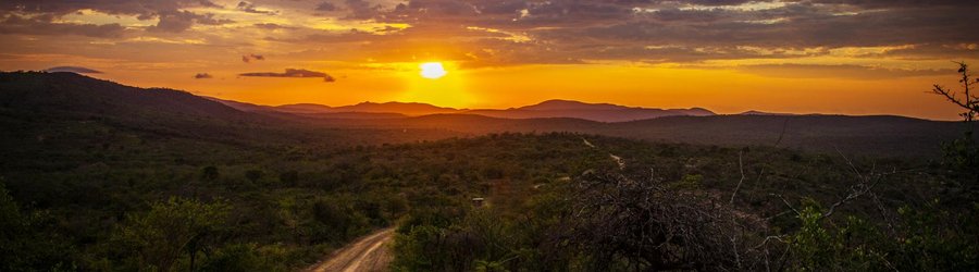 Reserve Hluhluwe Afrique du Sud