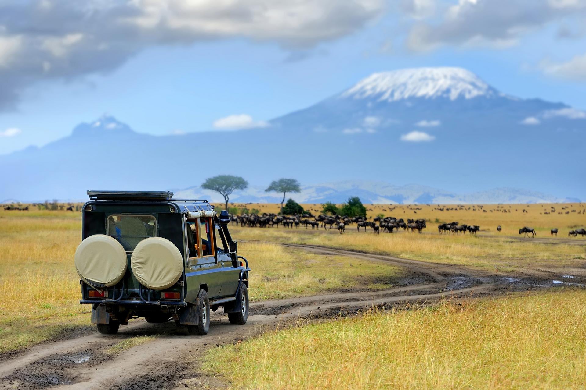Reserve Masai au Kenya