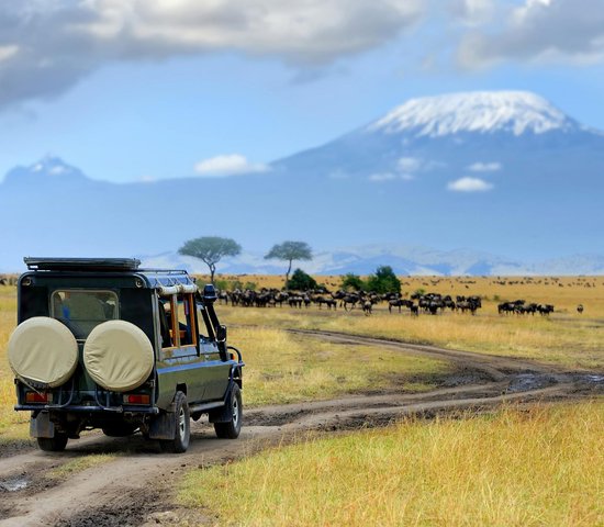 Reserve Masai au Kenya