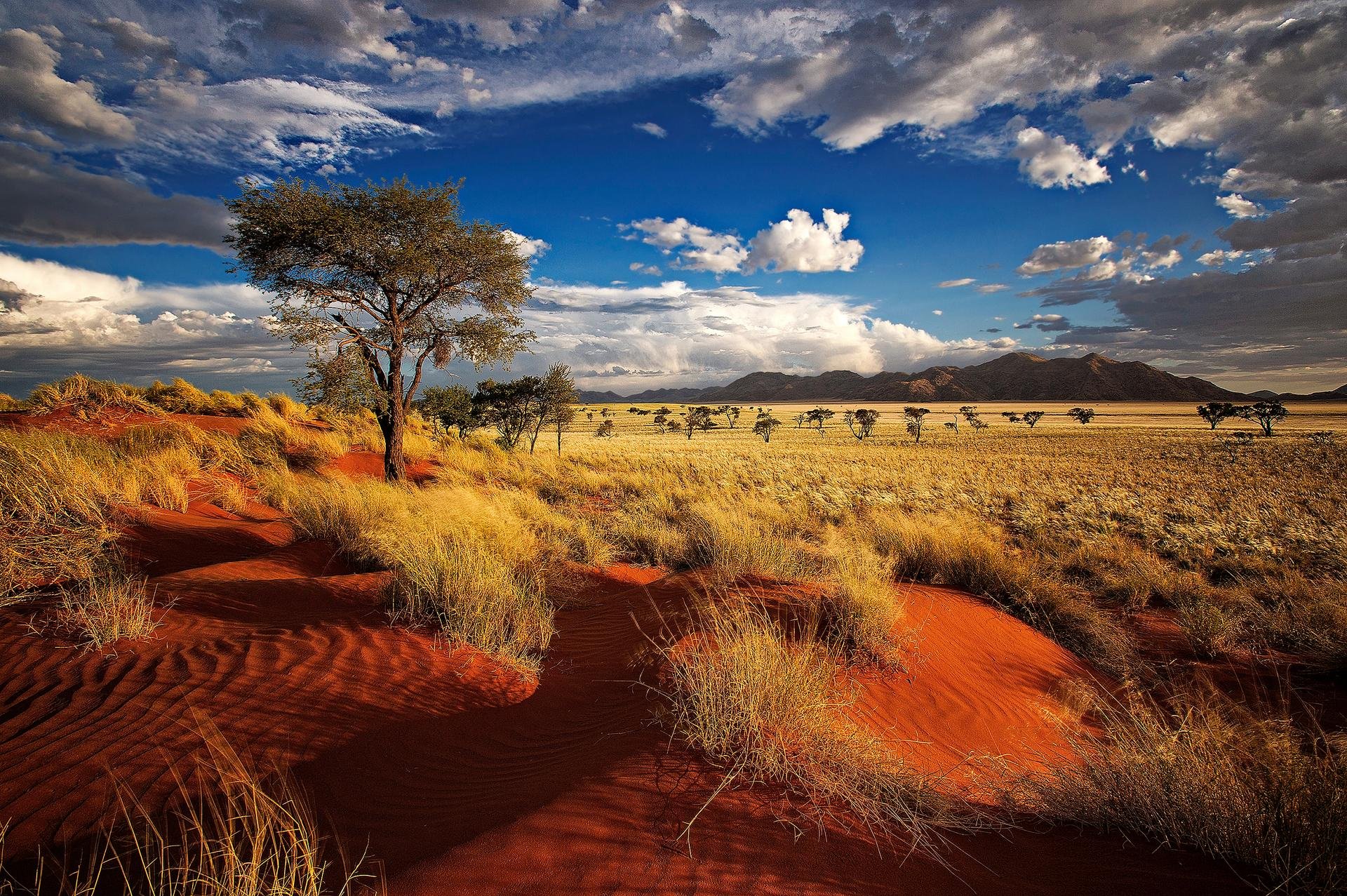 Reserve Namibie