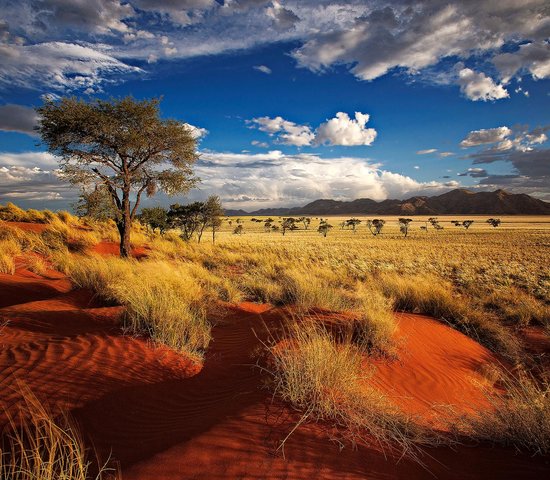 Reserve Namibie