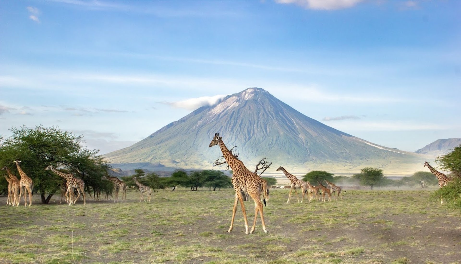 SAFARI EN AFRIQUE   tanzanie adeline