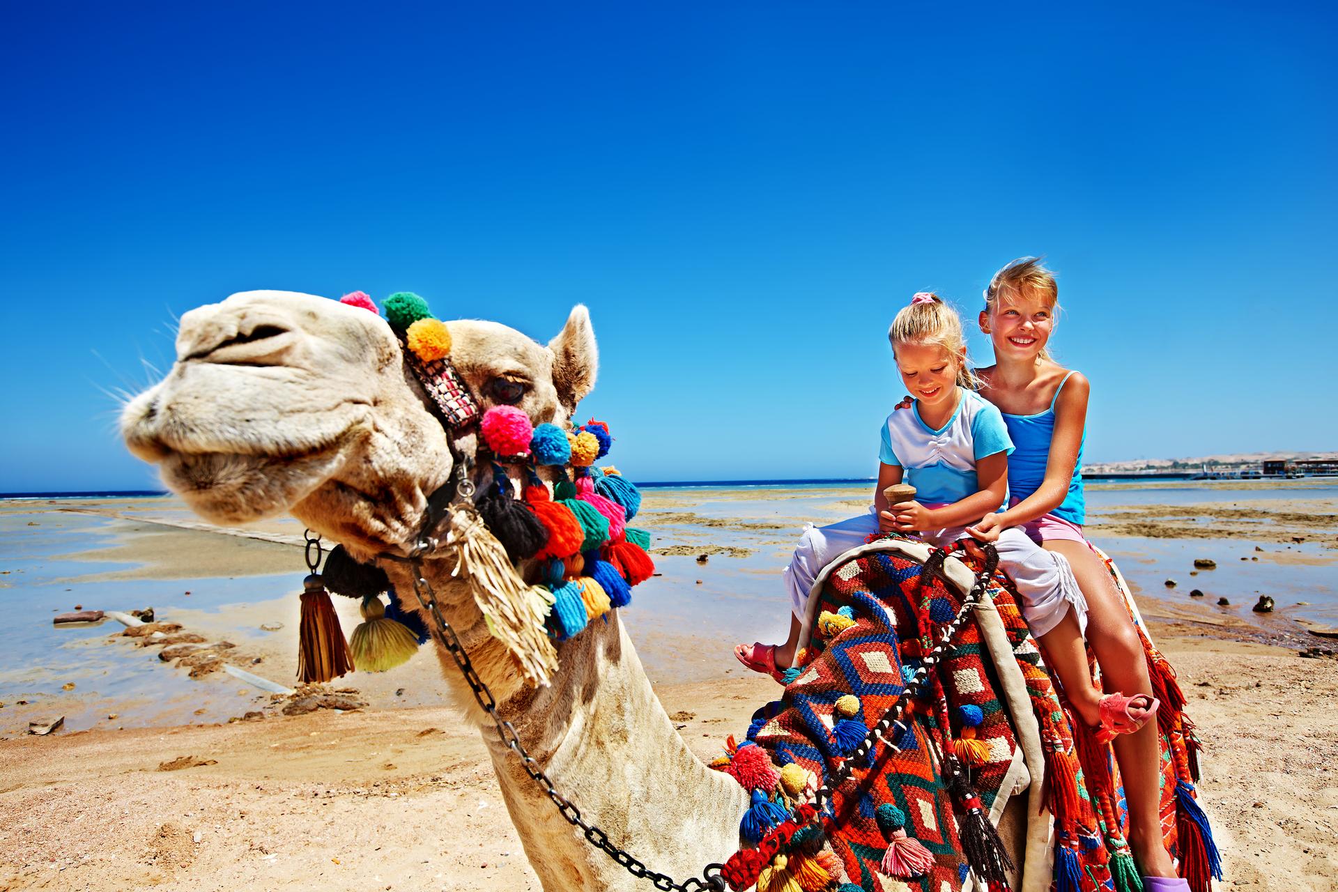 Marrakech, l’Atlas et Essaouira en famille