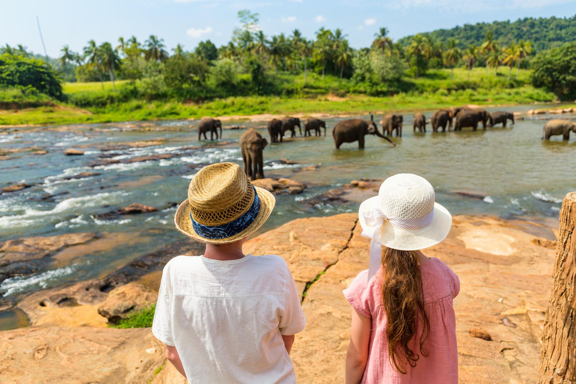 Un été en famille au Sri Lanka