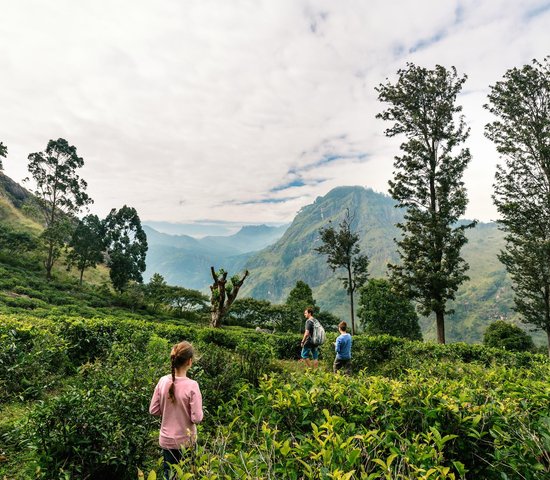 Sri Lanka