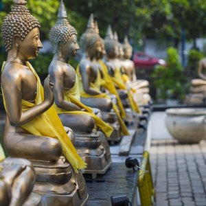 Statues de bouddha dans le temple de Seema Malaka