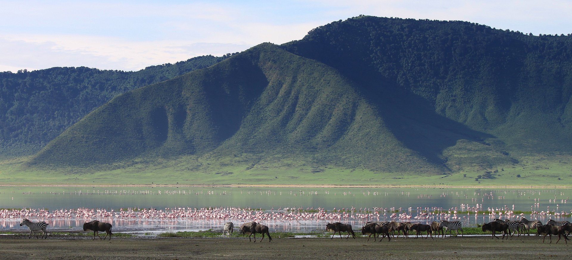 Cratère de Ngorongoro, Tanzanie