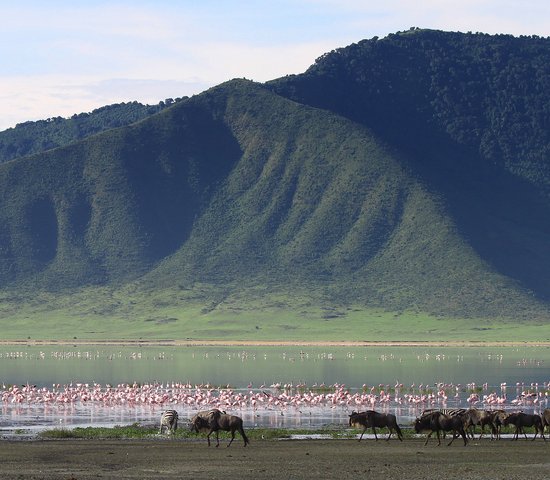 Cratère de Ngorongoro, Tanzanie