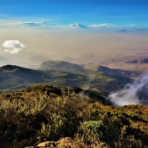 Parc national Arusha   Tanzanie