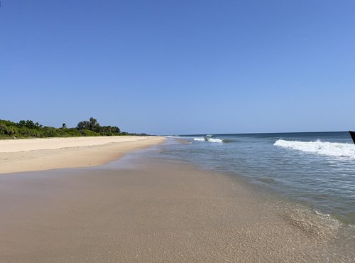 Souvenir du voyage de Charlotte, Sri Lanka