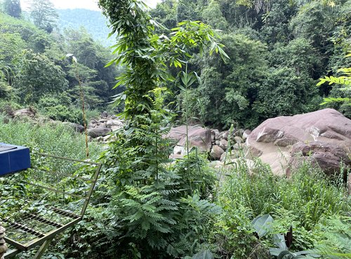 Souvenir du voyage de Charlotte, Sri Lanka