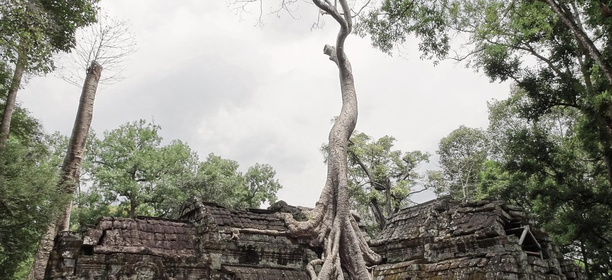 Temple Cambodge