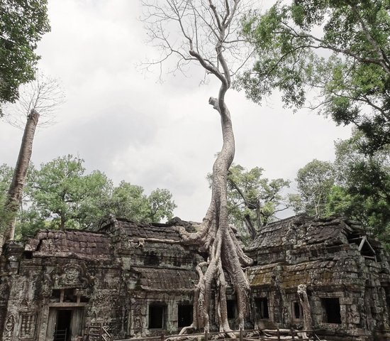 Temple Cambodge