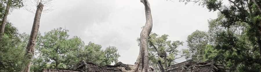 Temple Cambodge