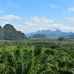 Khao Sok, Thaïlande