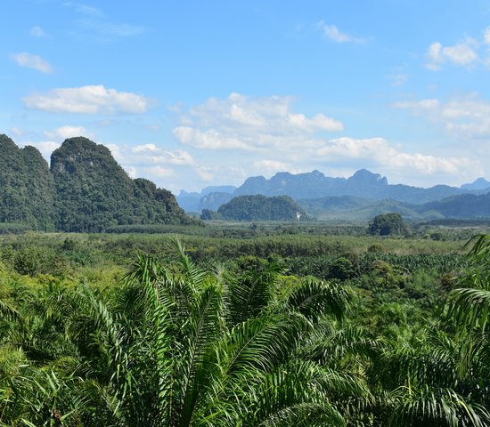 Khao Sok, Thaïlande