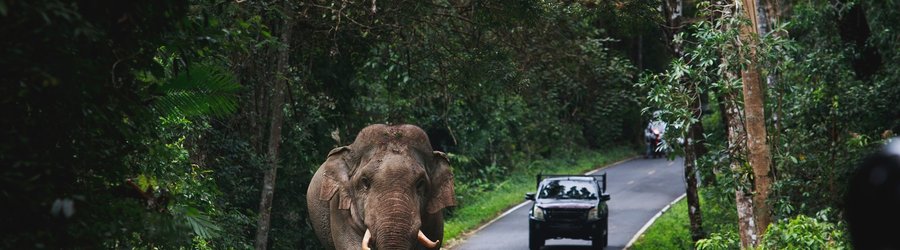 Parc national Khao Yai, Thaïlande
