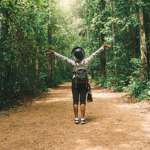 Randonnées en Thaïlande   Krabi, forêt tropicale