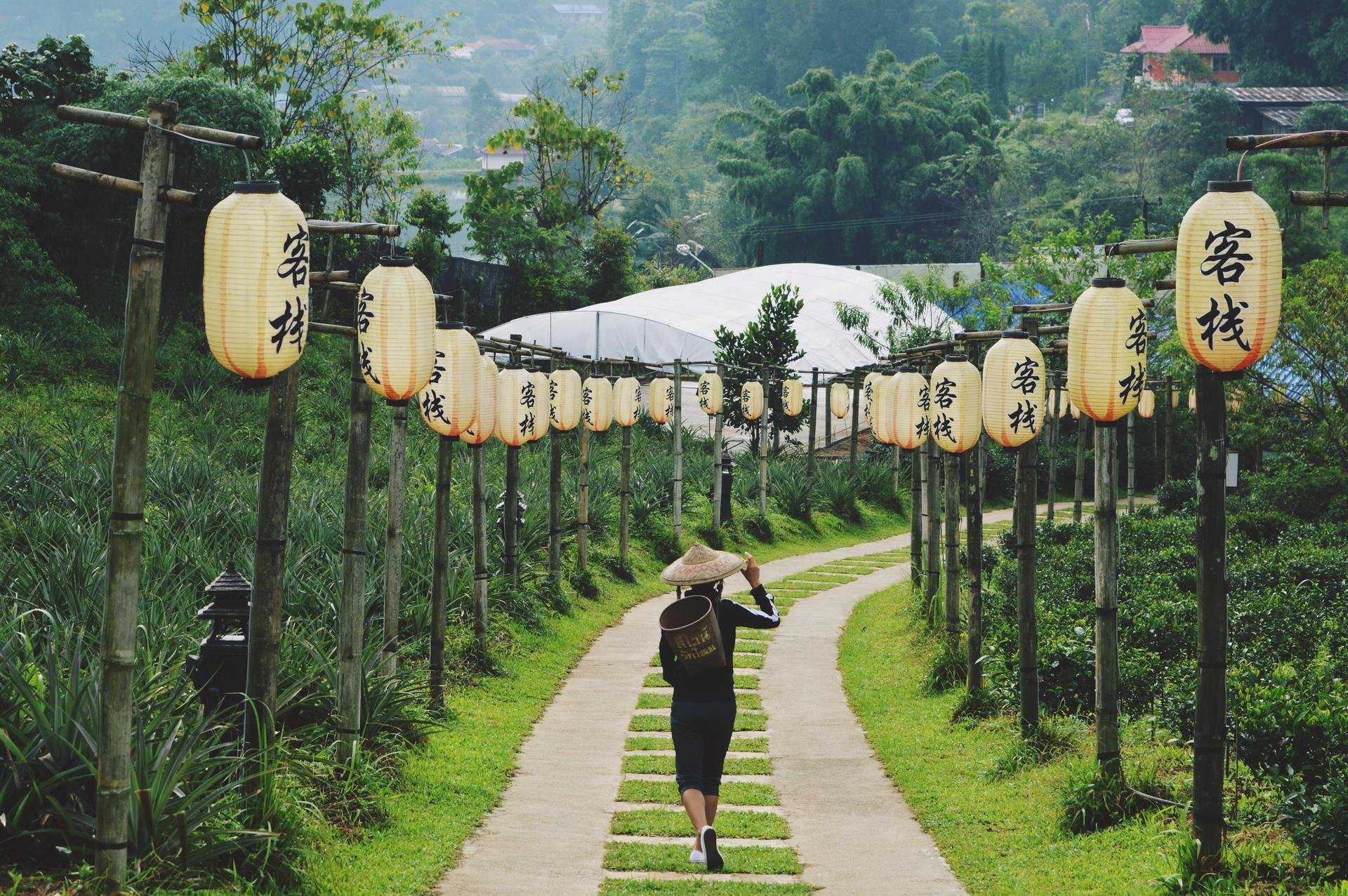 thailande riziere tradition