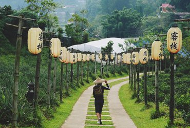 thailande riziere tradition