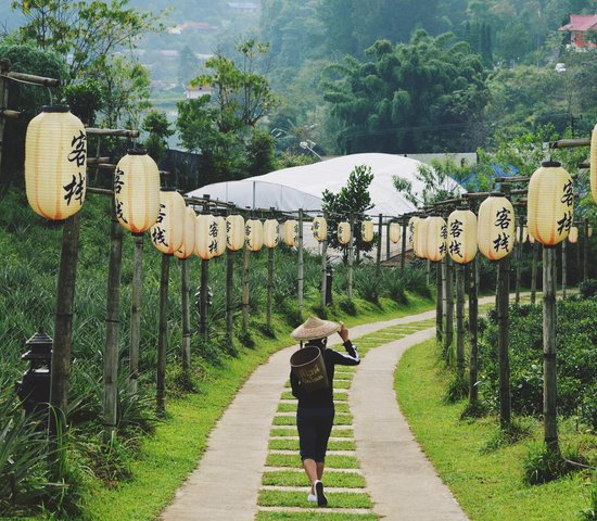 thailande riziere tradition