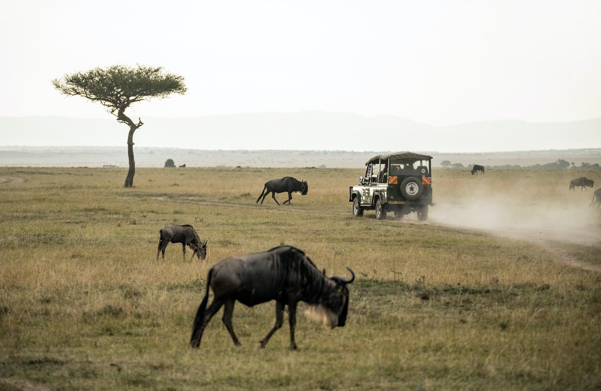 Tourisme au Kenya