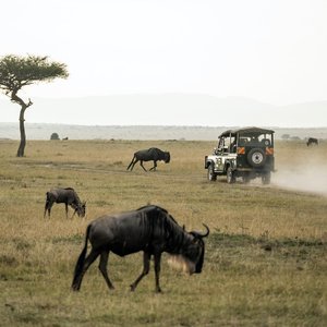 Tourisme au Kenya