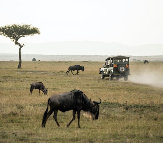 Tourisme au Kenya
