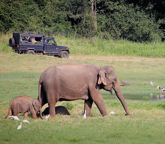 toursrilanka