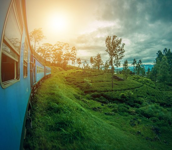 train sri lanka photo