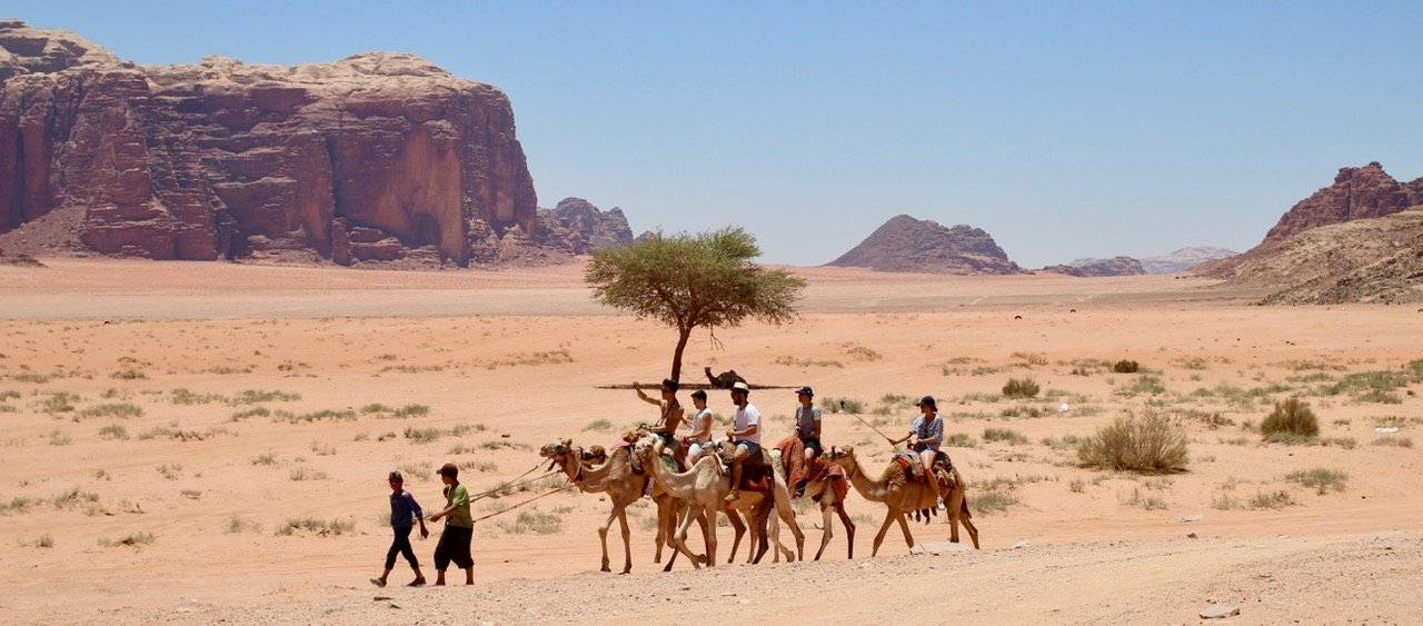 troupeau wadi rum