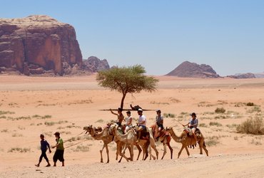 troupeau wadi rum