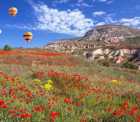 turquie printemps saison fleurs
