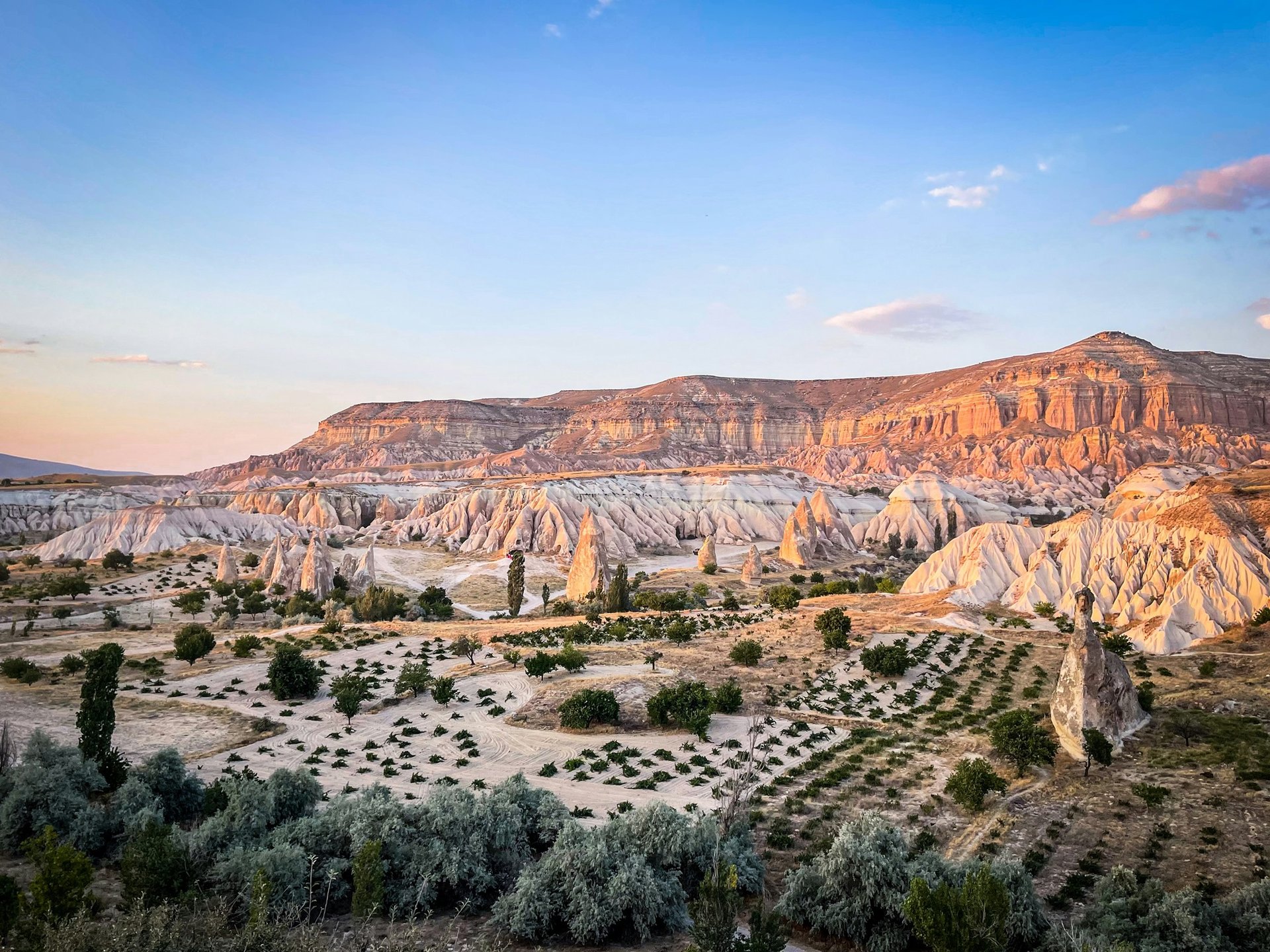 Vallée des roses, Goreme, Turquie