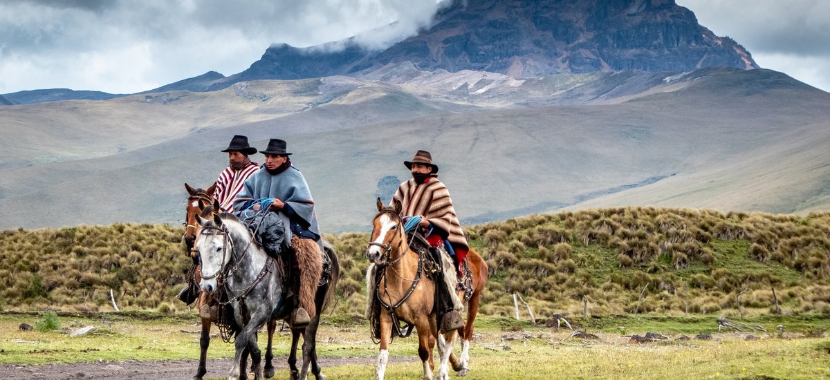 vacquero parc national cotopaxi equateur