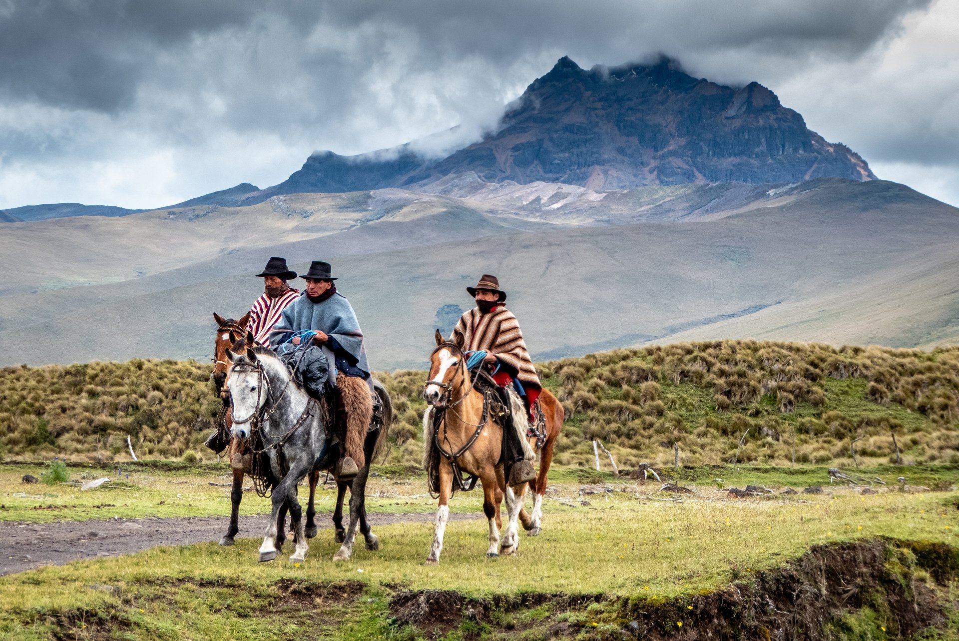 vacquero parc national cotopaxi equateur