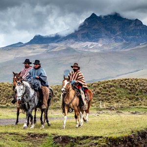 vacquero parc national cotopaxi equateur