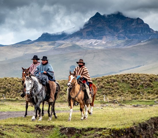 vacquero parc national cotopaxi equateur