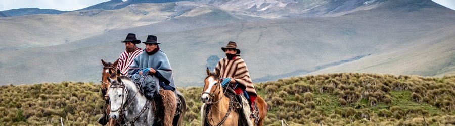 vacquero parc national cotopaxi equateur