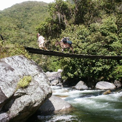 venezuela x ing Andes 2