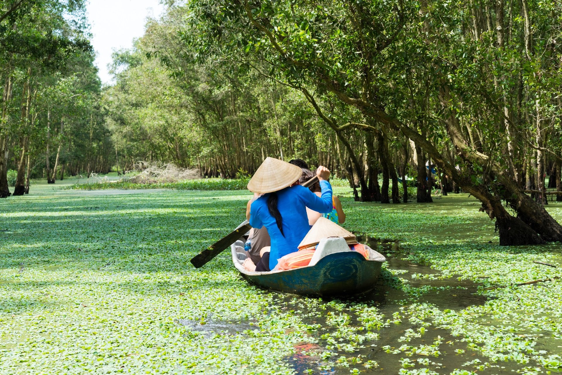 Delta du Mekong