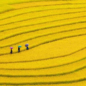 Géographie et paysages du Vietnam